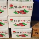 김영일치과 Daum카페