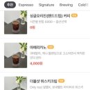 프라이빗플레이스 이미지