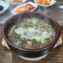 [곡성 &amp; 남원] 여름휴가 1일차_곡성