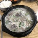 레몬비내도점 | 251001~251102 덴지쿤 사실은 나도