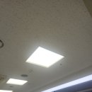 텍스