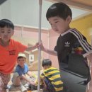 참피온키즈태권도 이미지