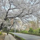 대구농업마이스터고등학교 이미지