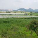 중앙공원(2) 이미지