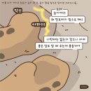 카월드스토리 이미지