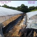한천보건진료소 네이버블로그