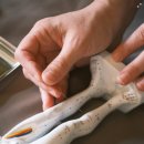 맑은숲고든몸한의원 이미지