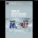 KSW93 in parisㅡ 미르코 크로캅 vs 칙콩코 2차전 6월04일 이미지