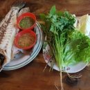 (주)이지메디컴 100세동안 | 부정맥 증상