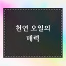 천연헤어미용실