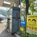 철쭉동산 앞 횡단보도(도장중학교 건너편) | 군포 철쭉축제 청년서포터즈 자원봉사 후기