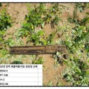 금리경로당 이미지