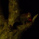 창곤농장 이미지