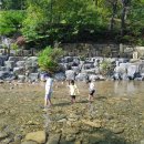 솔향이 진한 이미지