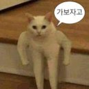 맥시칸치킨 이미지