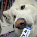 휴베이스 다정약국 이미지