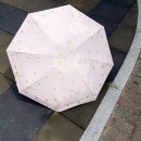 UV 차단 양우산 추천! 여름 암막 미니 우양산 사용 후기
