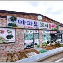 마파도떡집 - 천안시 동남구 영성로 57 | 마파도떡집