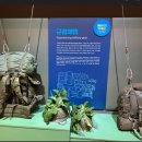 화령장전승기념관(2층) 이미지