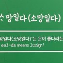 소망일다 이미지