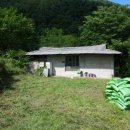 김삿갓면-11 이미지