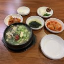 맛골해장국 - 목포시 | 맛골해장국