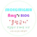 유명 운동화 해외구매 대행 인터넷 사기조직 적발