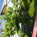 만화카페하늘 이미지