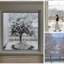 순디네 | 괴산 순디네 에어비앤비 후기 (+가격):: 연말 크리스마스 분위기 숙소, 강추!