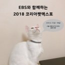 펫의상실