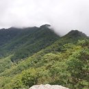 무릉도원면-51 이미지