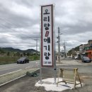 진배네 오리랑 메기랑 이미지