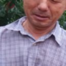 새각단 이미지
