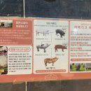 얼룩목장 이미지