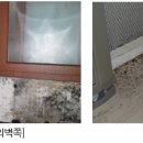 청ENG 이미지