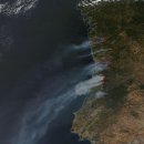 사하라 사막의 열기가 북상하면서 포르투갈 전역에서 대형 산불이 번지고 있다 이미지