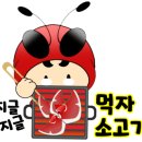2023-0012 이미지