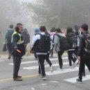 배방초등학교 이미지
