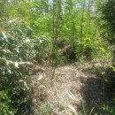 상주 병풍산 고분군 이미지