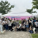 김포시 반려동물 공공진료센터 이미지