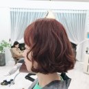비비드헤어 이미지