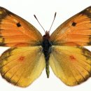 나비공원1(자연교육센터) 이미지