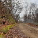 월명운수 이미지