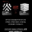 원석식품 | [단쉐 추천] 프로틴원 맛추천 - 단백질 쉐이크 녹차, 곡물, 흑임자 내돈내산 후기