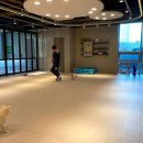 2호선 중동역 1번출구 이미지