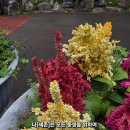 세존 - 달서구 성당로 125 | 세존