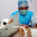 연합가축병원 이미지