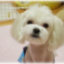 꼴통집 이미지