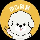 하이멍뭉 - 10448 | 하이멍뭉 충청남도 애견유치원 다녀왔는데 와.. 우리 강아지가 이렇게 변하네