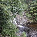 치유의 방 | 강원도 아기랑 가족여행 숙소 삼척 활기 자연휴양림 한옥독채 치유의숲 후기